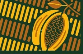 Illustration de la cabosse de cacao dorée